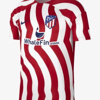 FFF Strike - Image 2
